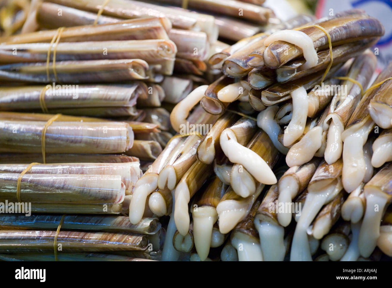 Rasoio di pod shell nel mercato la Boqueria Foto Stock