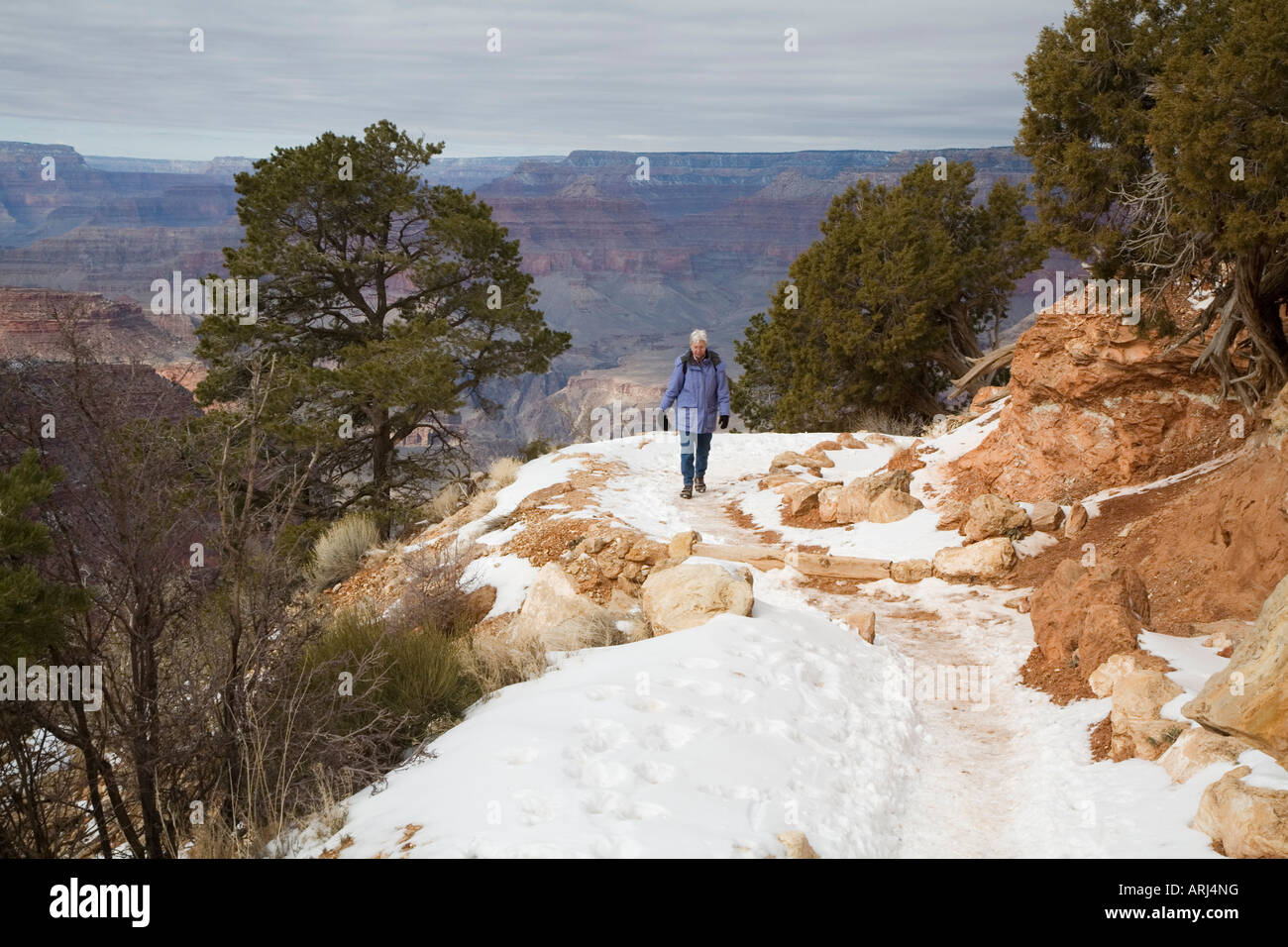 Escursionista sulla South Kaibab Trail nel Grand Canyon in inverno Foto Stock