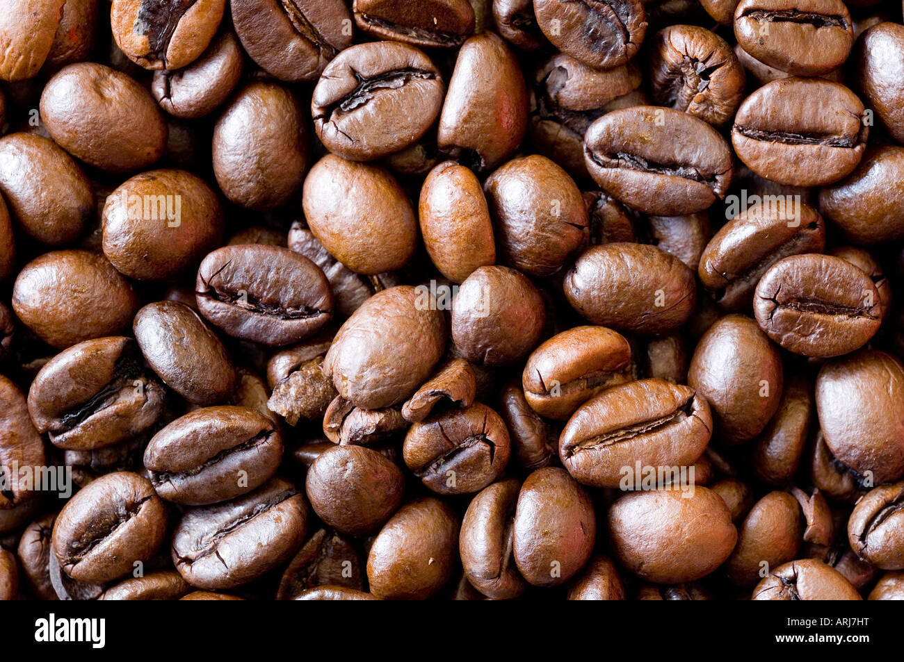 Una chiusura di appena tostato organici di chicchi di caffè Foto Stock