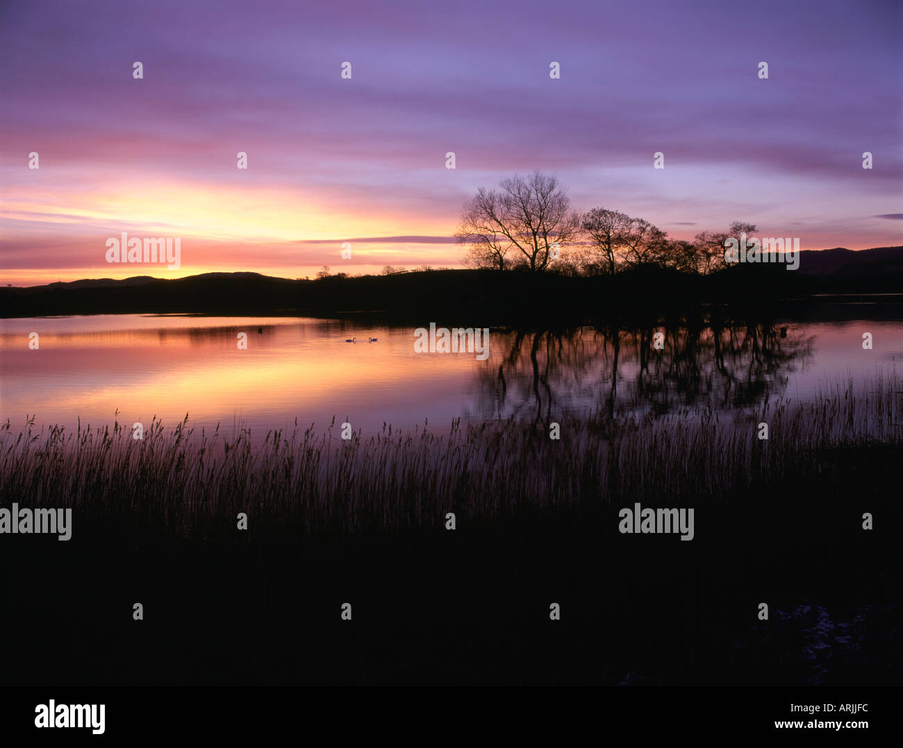 Sunrise Carlingwark Loch Foto Stock