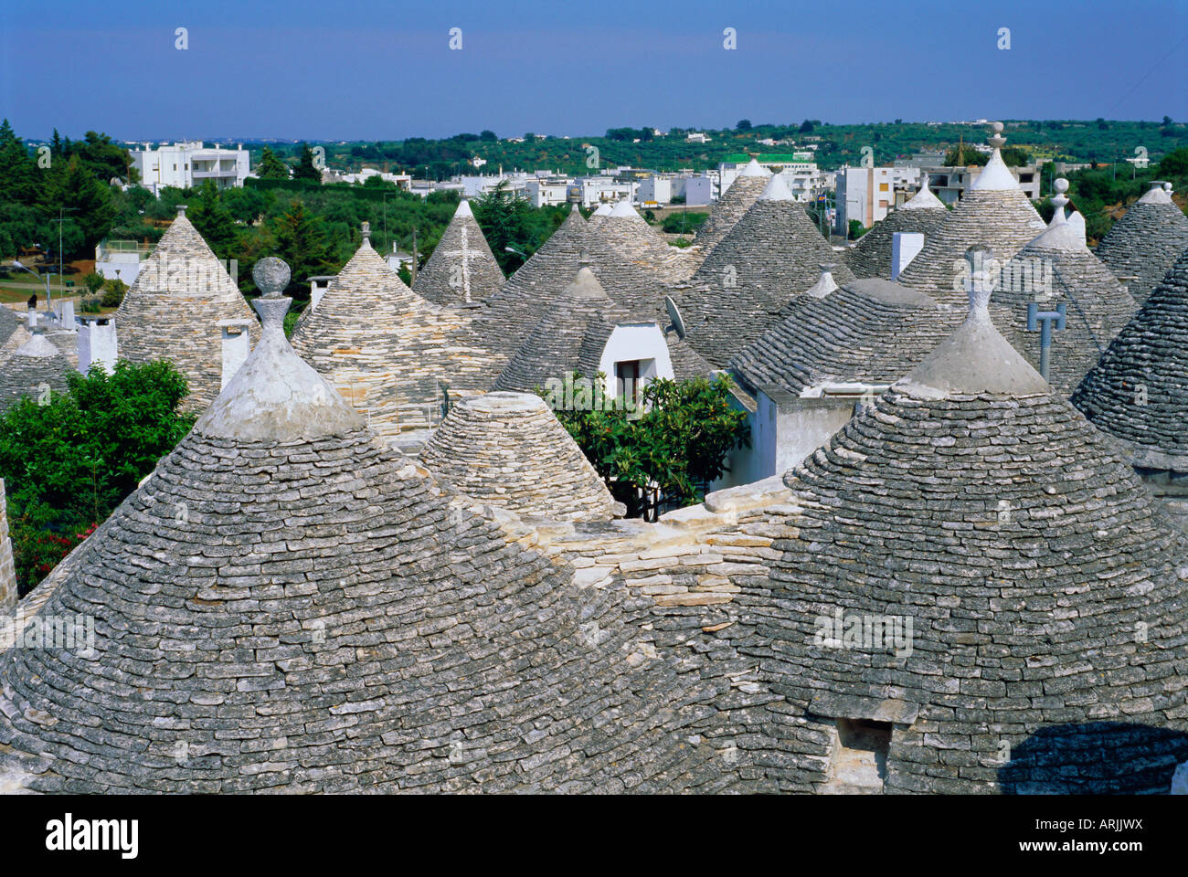 Ad Alberobello case tipiche, Puglia (Puglia), Italia Foto Stock