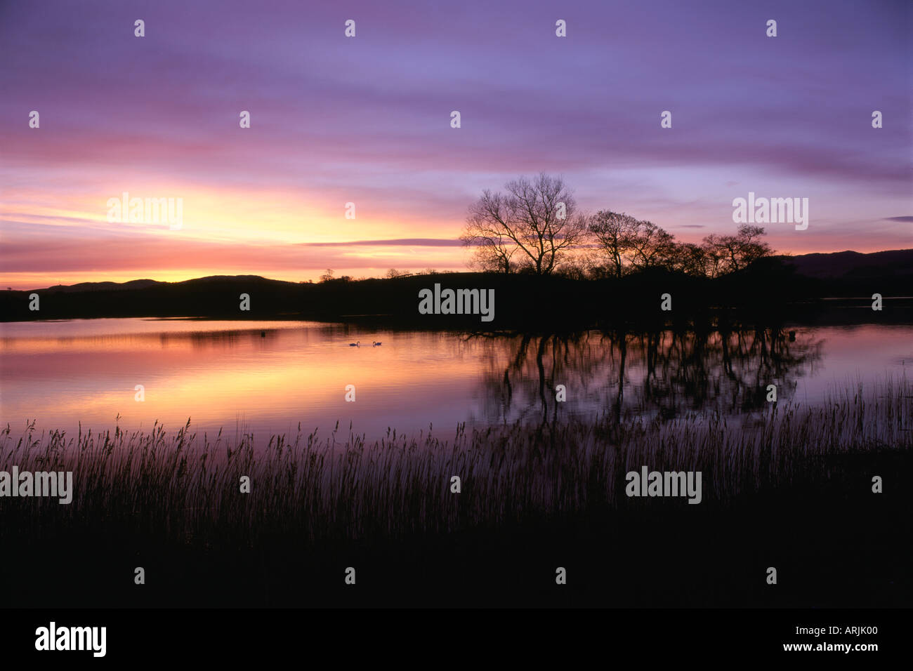 Sunrise Carlingwark Loch Foto Stock