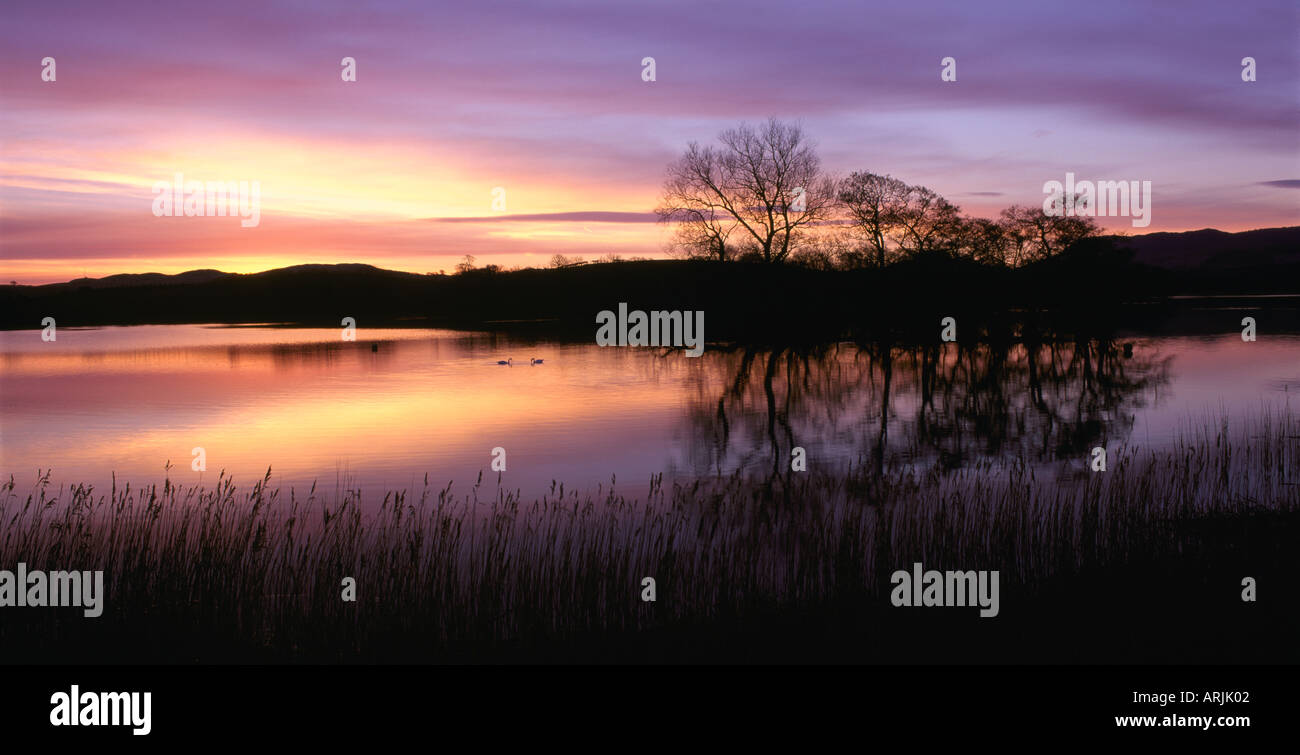 Carlingwark Loch Castle Douglas Foto Stock