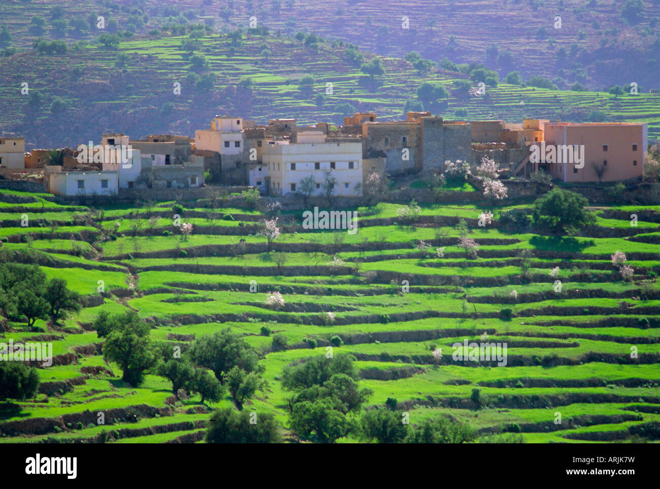 Paesaggi terrazzati, Taroudant, Marocco, Africa del Nord Foto Stock