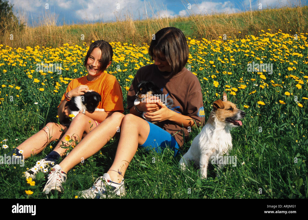 Maedchen mit pastore australiano (Canis lupus familiaris, Australian Shepherd x Border Collie), la ragazza con i cuccioli e Jack Russ Foto Stock