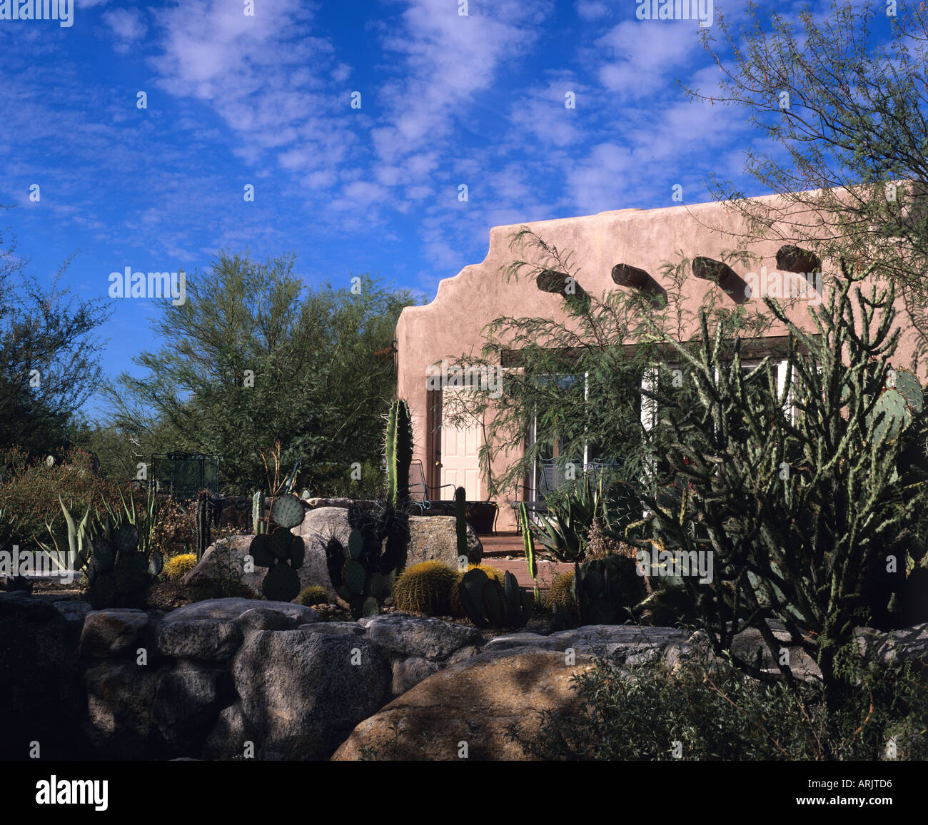 Adobe casa con giardino di cactus al di fuori di Tucson USA Foto Stock