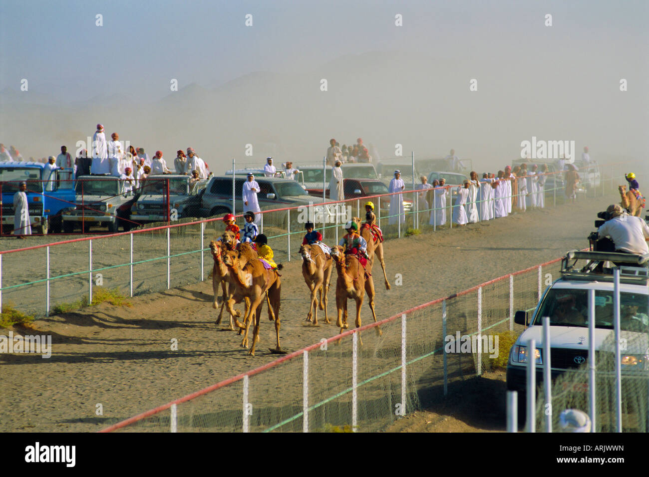 Camel Race Course, Mudaibi, Oman, Medio Oriente Foto Stock