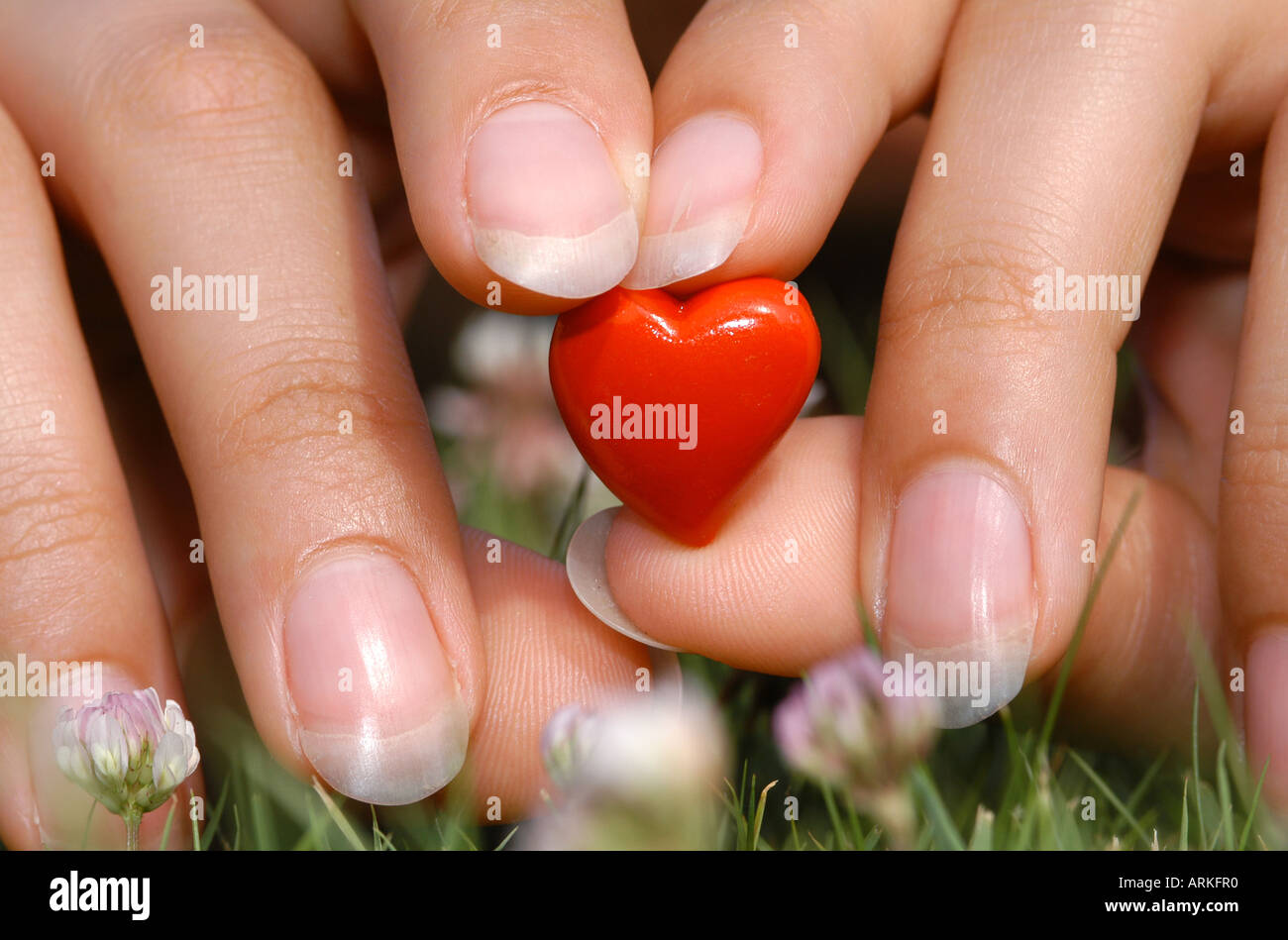 Foto simbolico: la donna con le mani un midget cuore. L'amore. Foto Stock