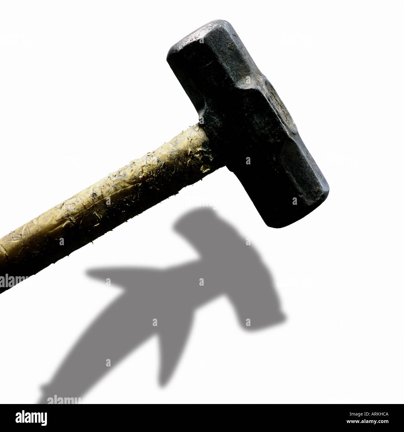 Mazza con la shark ombra Foto Stock