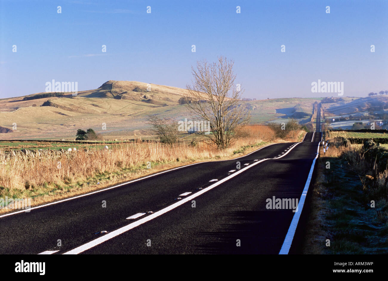 Strada romana, soleggiato Rigg a oriente, Northumberland (Northumbria), Inghilterra, Regno Unito, Europa Foto Stock