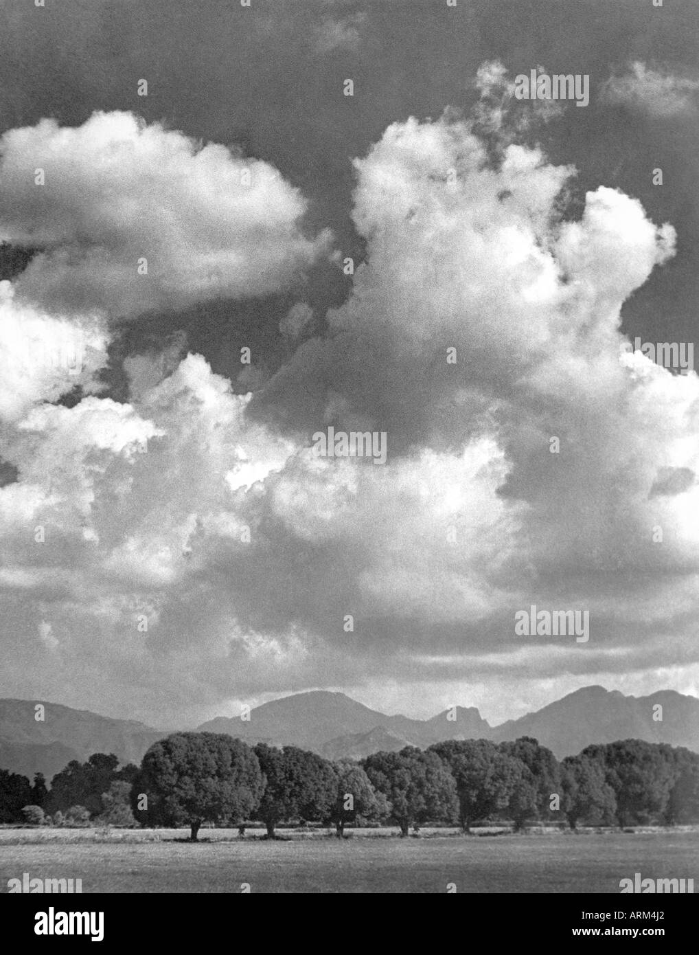 VRB101350 paesaggio con alberi e nuvole Dehradun Uttaranchal India 1940 s Foto Stock