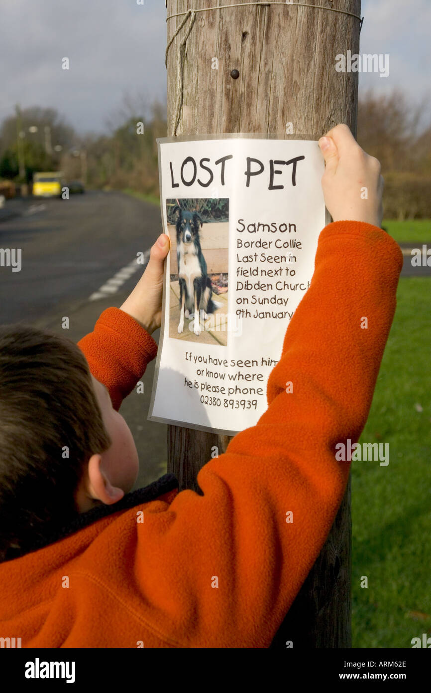 Perso il Pet poster di un cane essendo fissato al palo del telegrafo dal giovane ragazzo Foto Stock