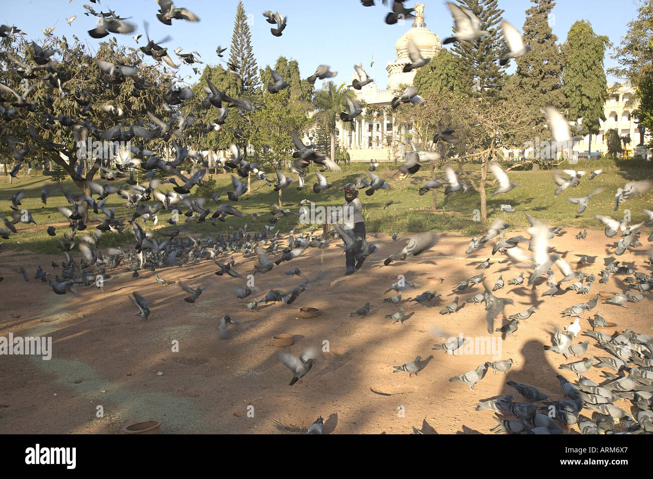 KNA101914 il Vidhan Soudha Banglore Karanataka India Foto Stock