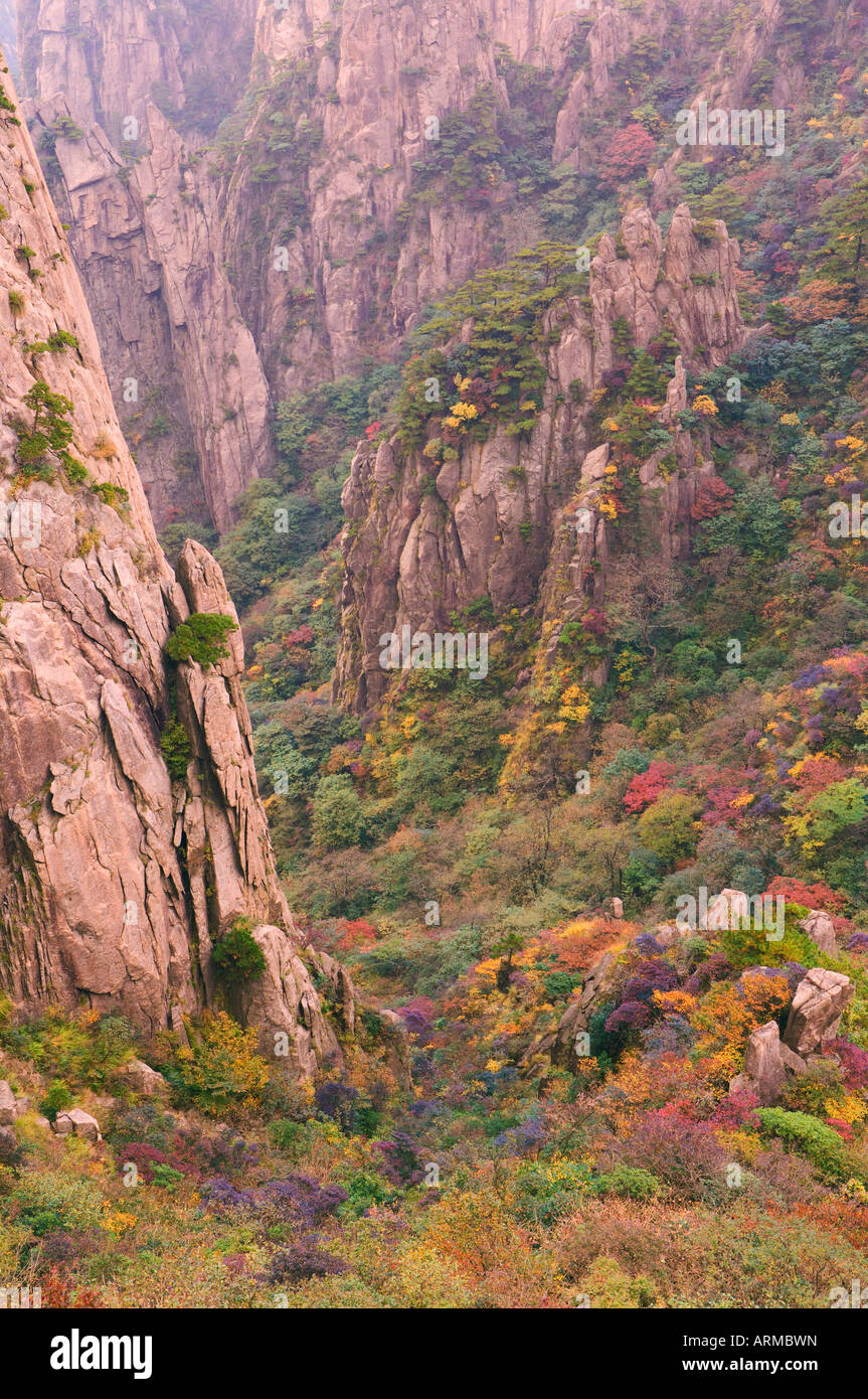 Mare del Nord Scenic Area, Monte Huangshan (gialle di montagna), il Sito Patrimonio Mondiale dell'UNESCO, provincia di Anhui, Cina e Asia Foto Stock