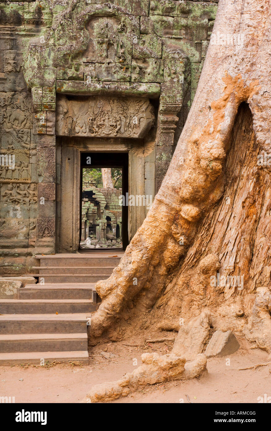 Ta Prohm tempio di Angkor, Sito Patrimonio Mondiale dell'UNESCO, Siem Reap, Cambogia, Indocina, Asia sud-orientale, Asia Foto Stock