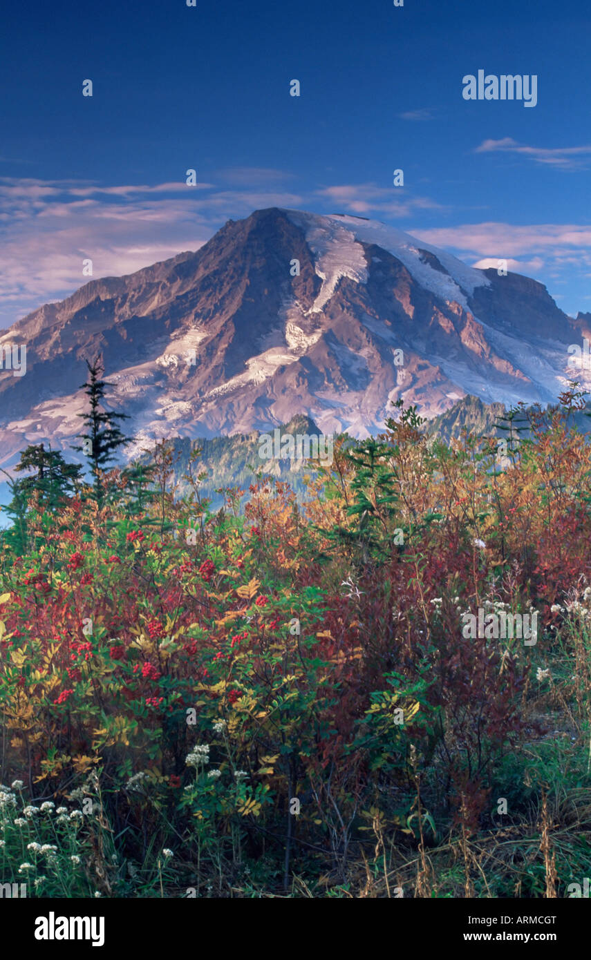 Paesaggio, il Parco Nazionale del Monte Rainier, nello stato di Washington, Stati Uniti d'America, America del Nord Foto Stock