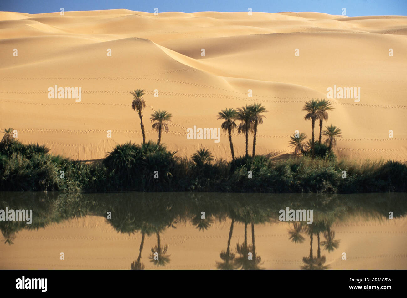 Oum El Ma (Umm el Ma) Lago, Mandara Valley, a sud-ovest del deserto, Libia, Africa Settentrionale, Africa Foto Stock