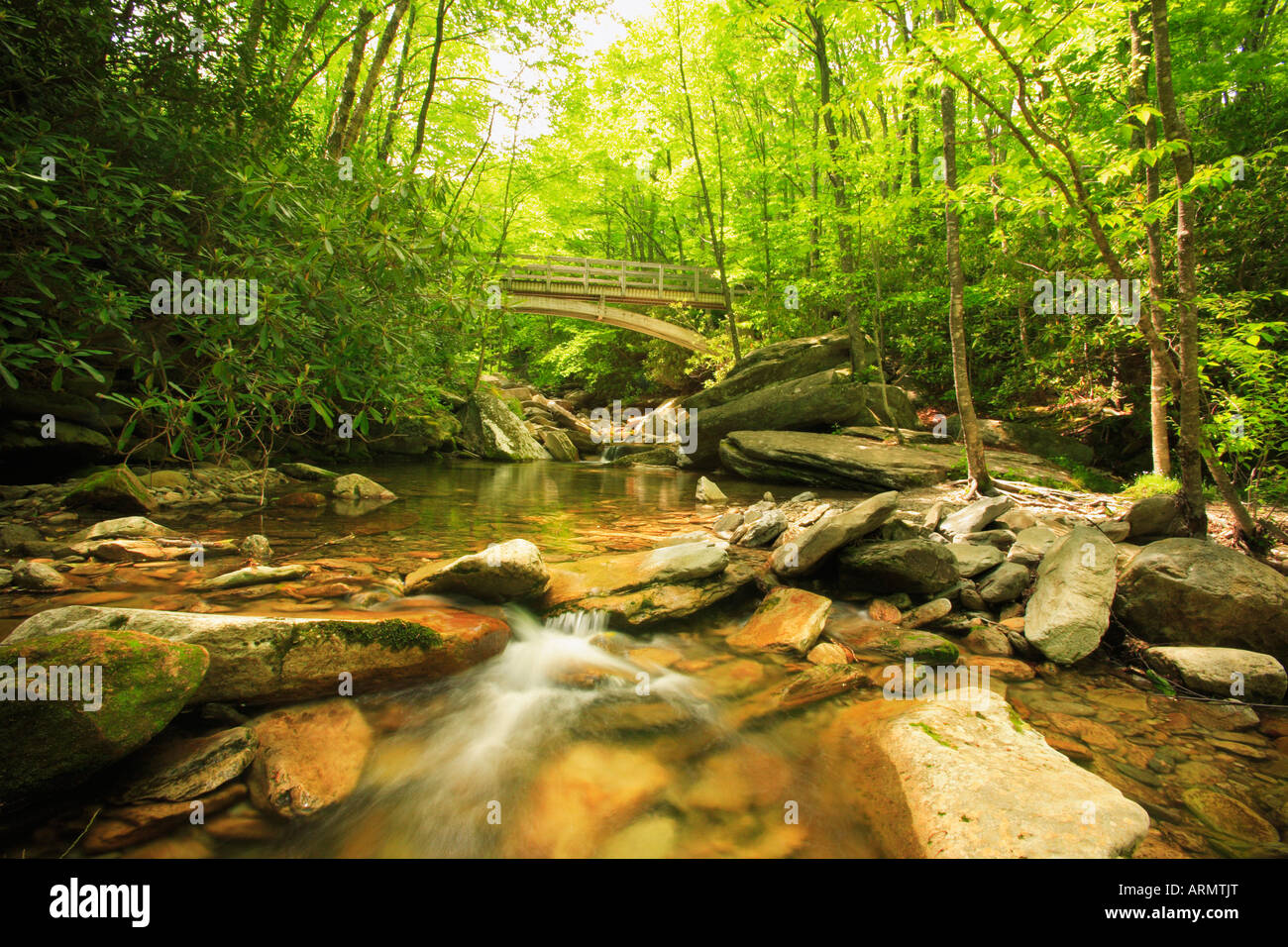 Ponte di Boone forcella, Tanawha Trail, Blue Ridge Parkway, North Carolina, STATI UNITI D'AMERICA Foto Stock