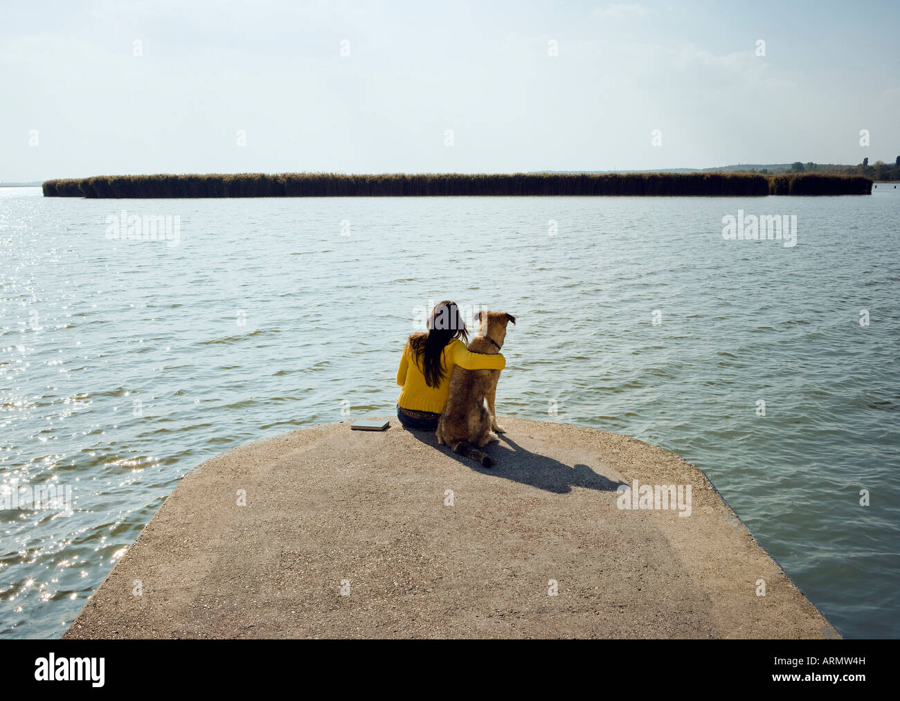 Ragazza seduta con il cane dal lago vista posteriore Foto Stock