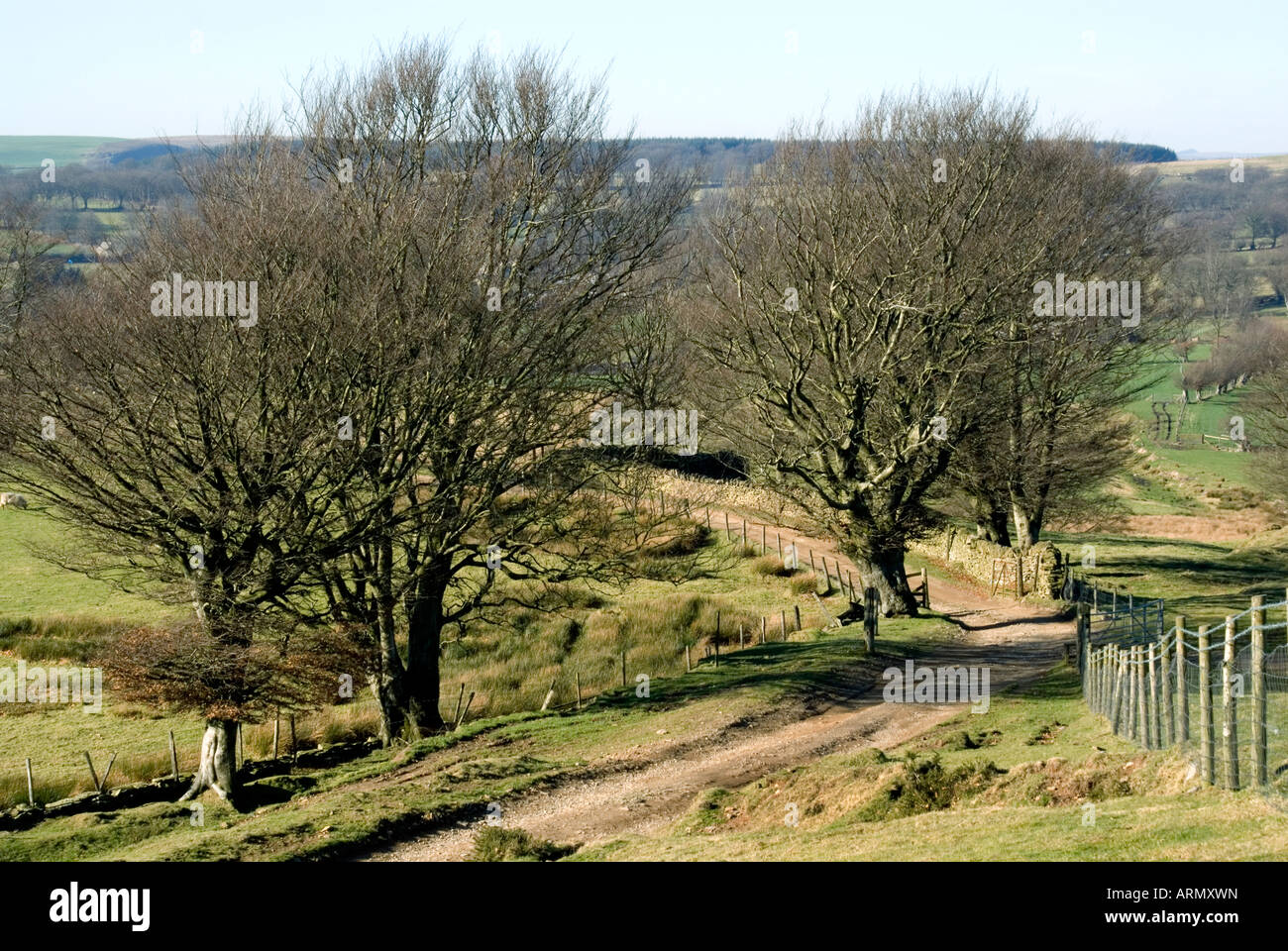 Ebbw valle lunga distanza sentiero mynydd pen y fan ebbw valley gwent South wales uk Foto Stock