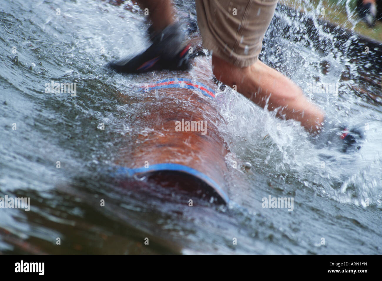 Tutti i giorni Sooke logger sport, laminazione di registro, l'isola di Vancouver, British Columbia, Canada. Foto Stock