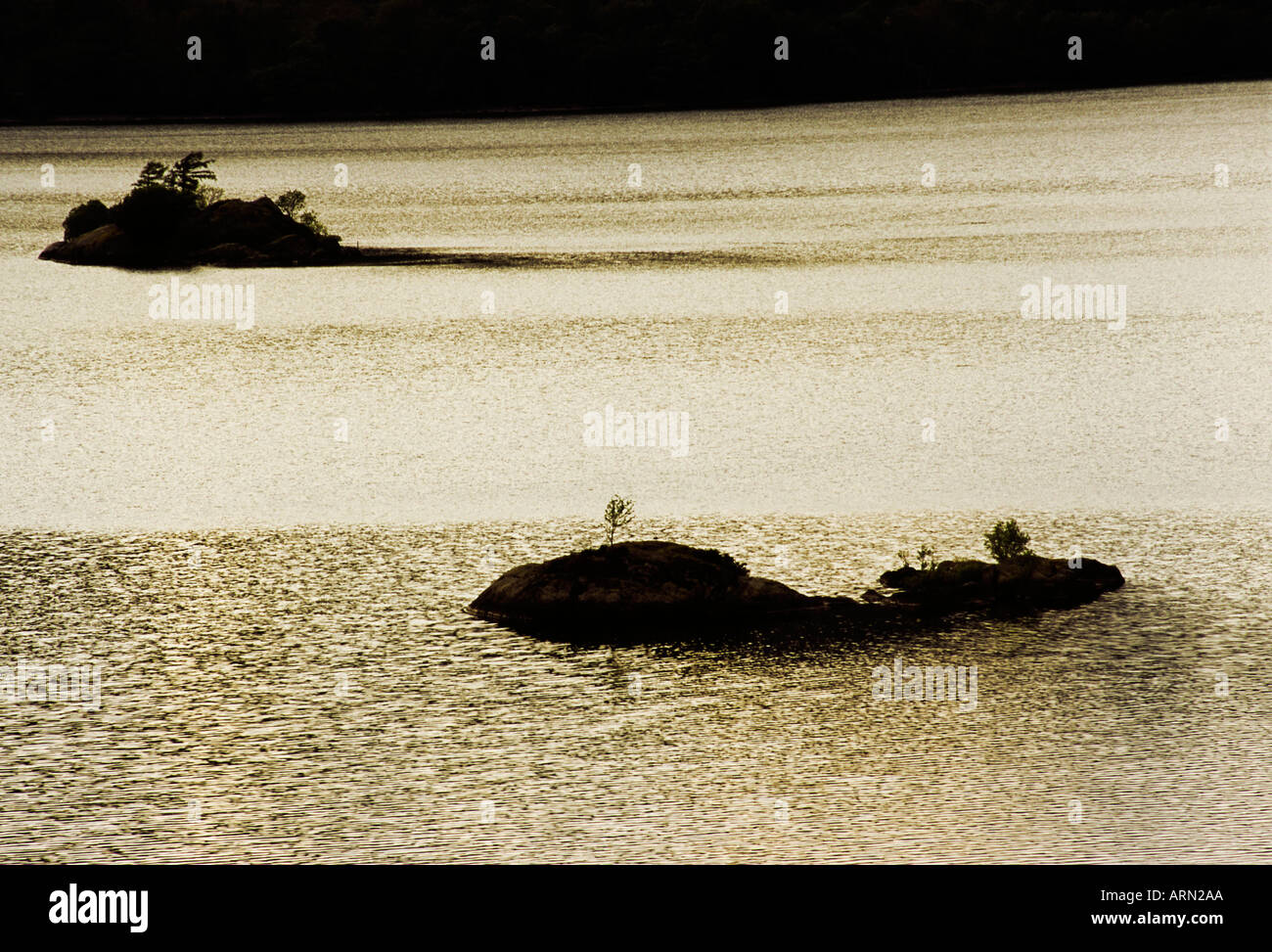 Due piccole isole sull'Ullswater Cumbria al crepuscolo Foto Stock