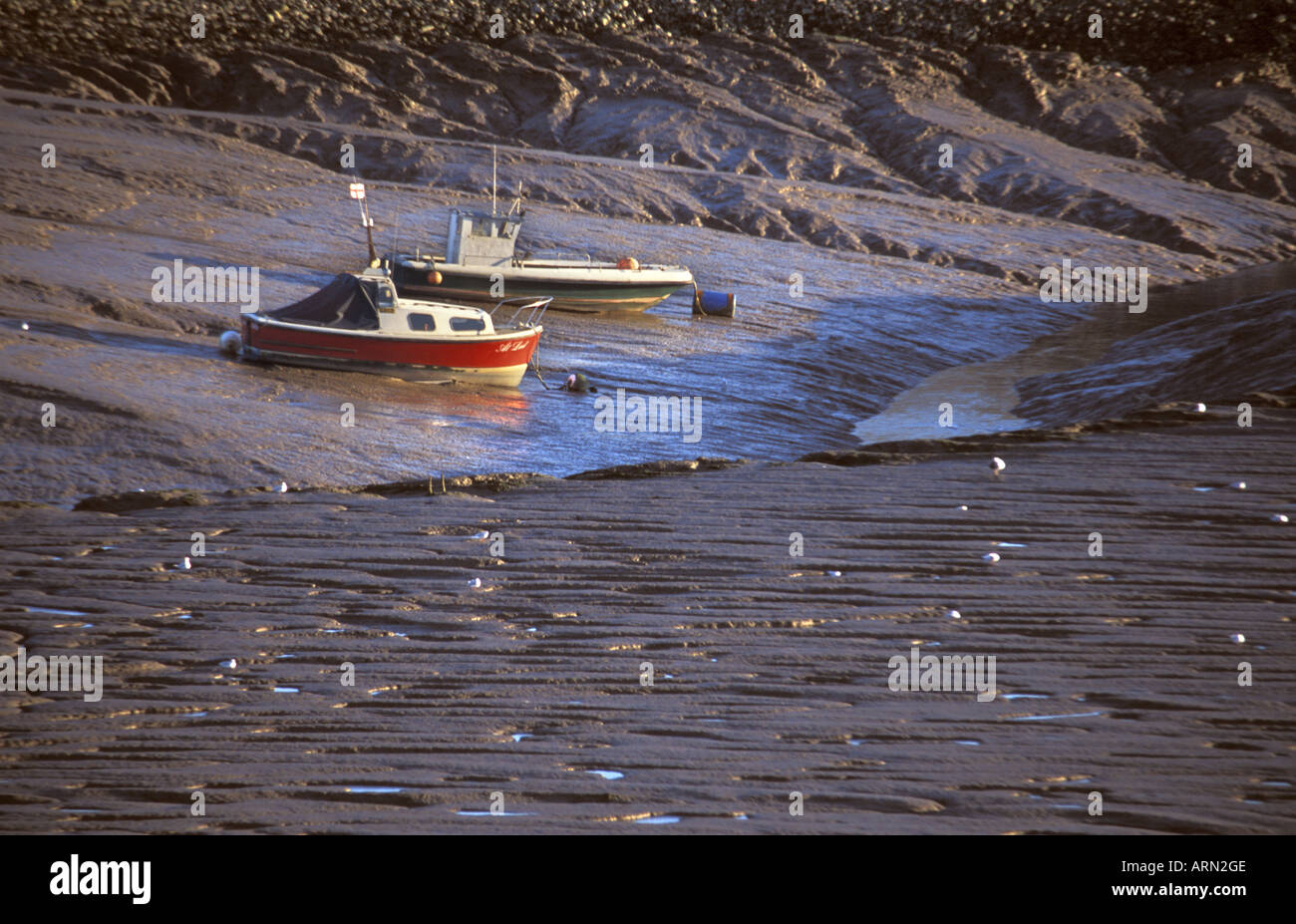 Barche ormeggiate sulle velme di Clevedon pillola Severn Estuary area protetta in Inghilterra Foto Stock