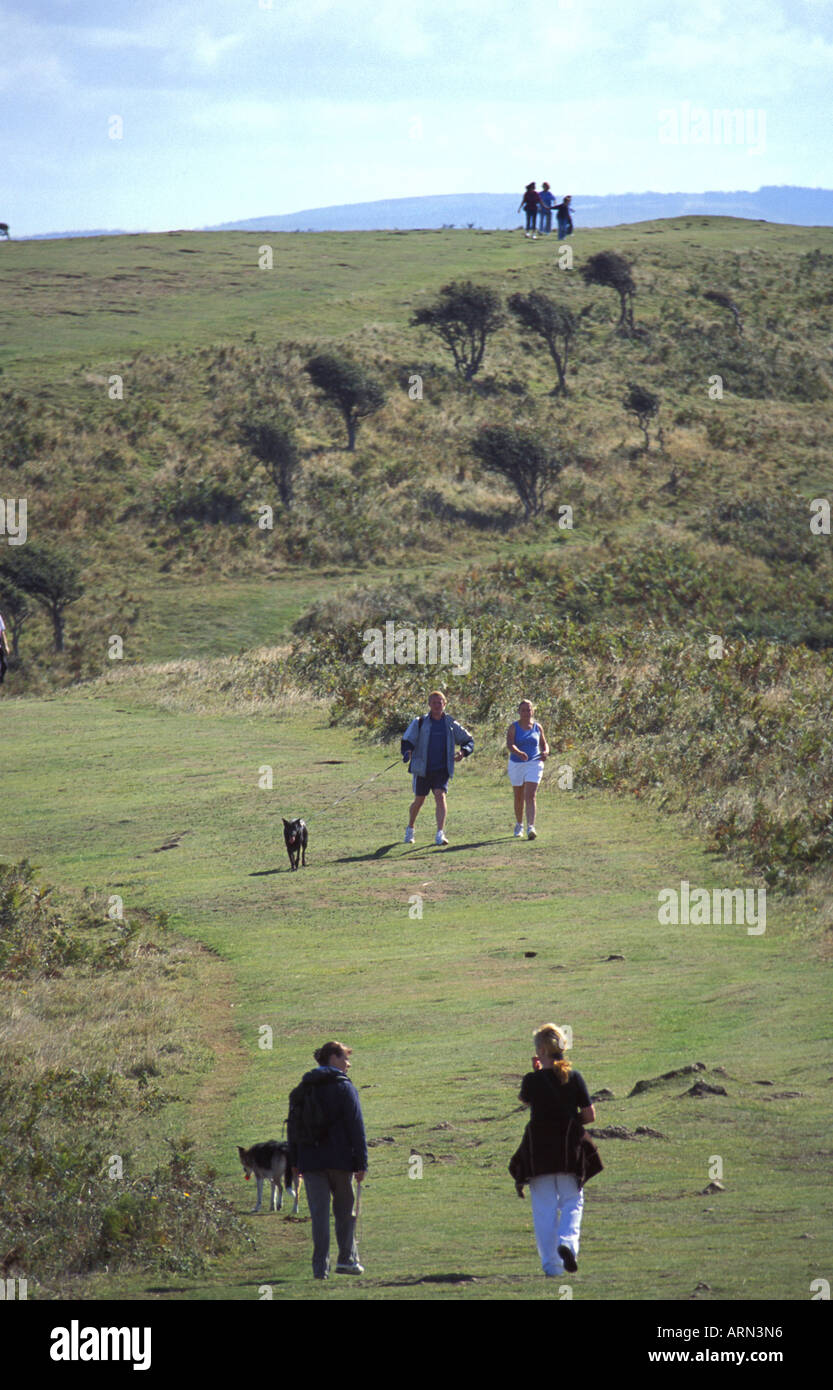 I camminatori con cani su Brean giù parte della Severn Estuary area protetta Foto Stock