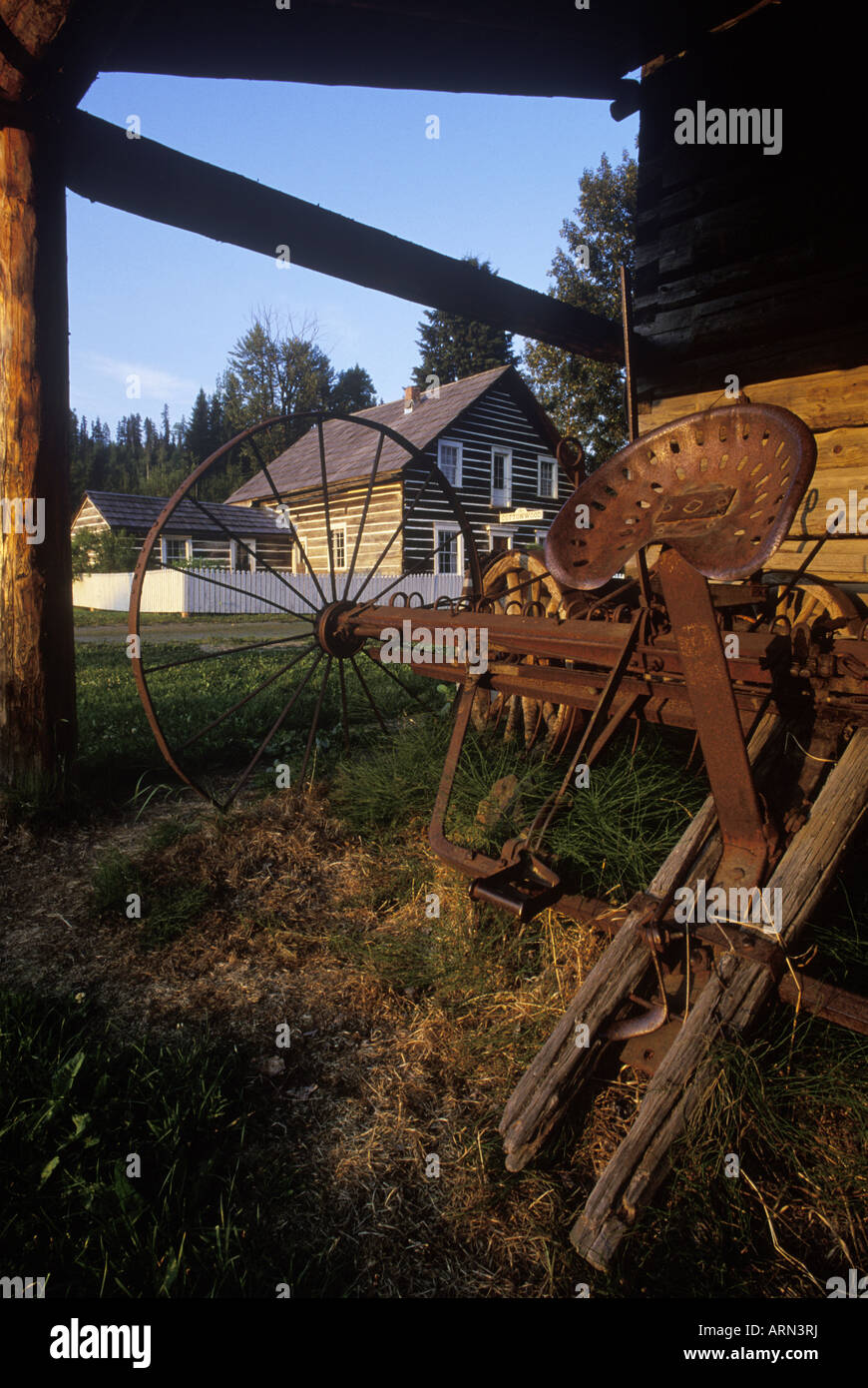 Pioppi neri americani funzione storica, Regione Cariboo, British Columbia, Canada. Foto Stock