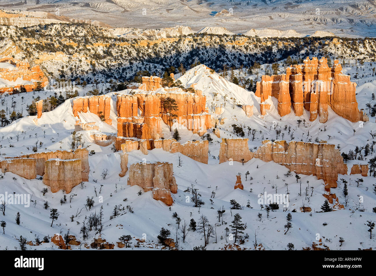 Bryce Canyon neve invernale red rock vista tramonto Foto Stock