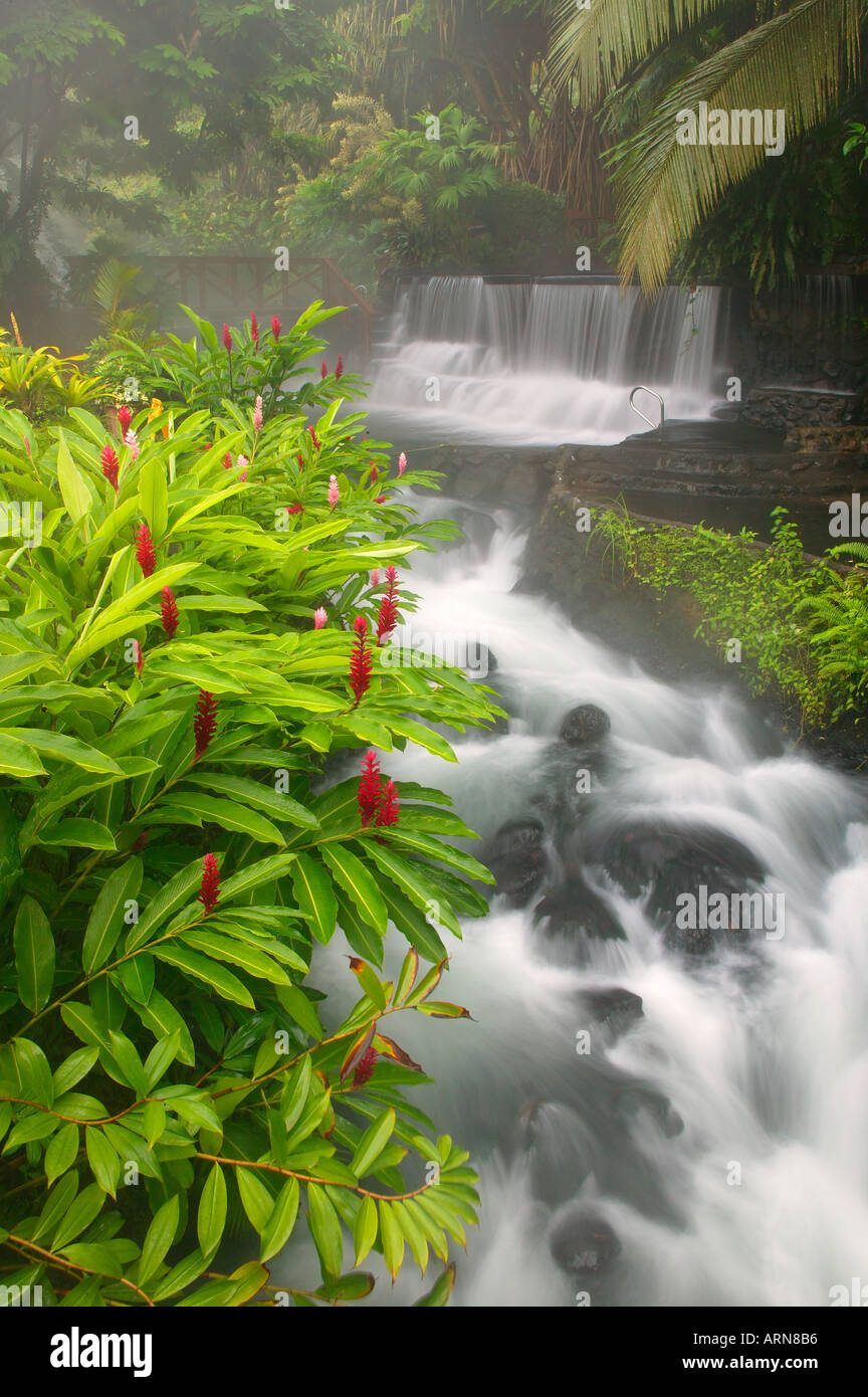 Flusso che scorre attraverso il Tabacon Hot Spring Resort e Spa Costa Rica Foto Stock
