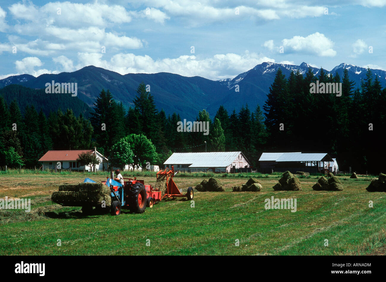Agricoltore la raccolta di balle di fieno, Kootenays, British Columbia, Canada. Foto Stock