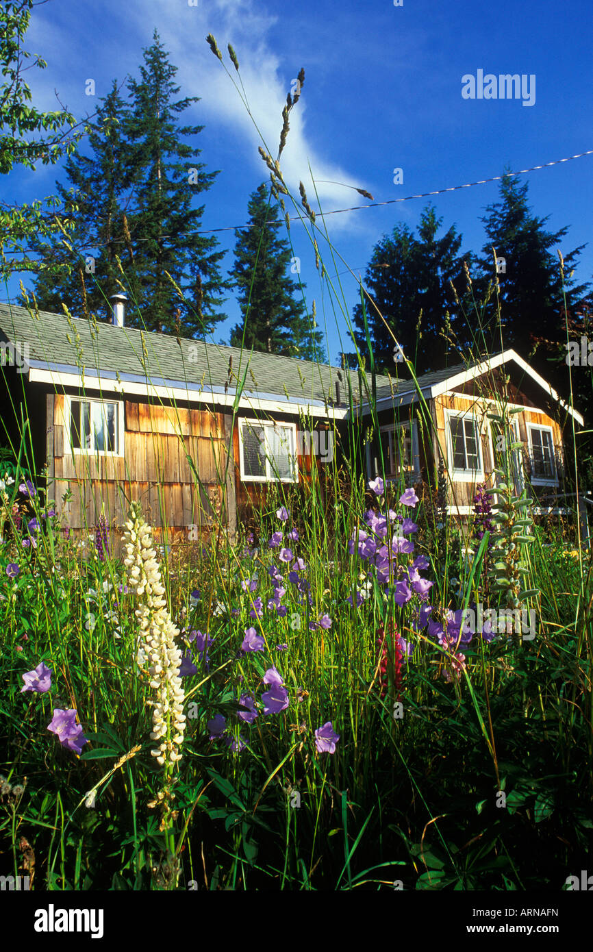 Giapponese vecchio internamento cabin ristrutturato, West Kootenays, Nuova Denver, British Columbia, Canada. Foto Stock