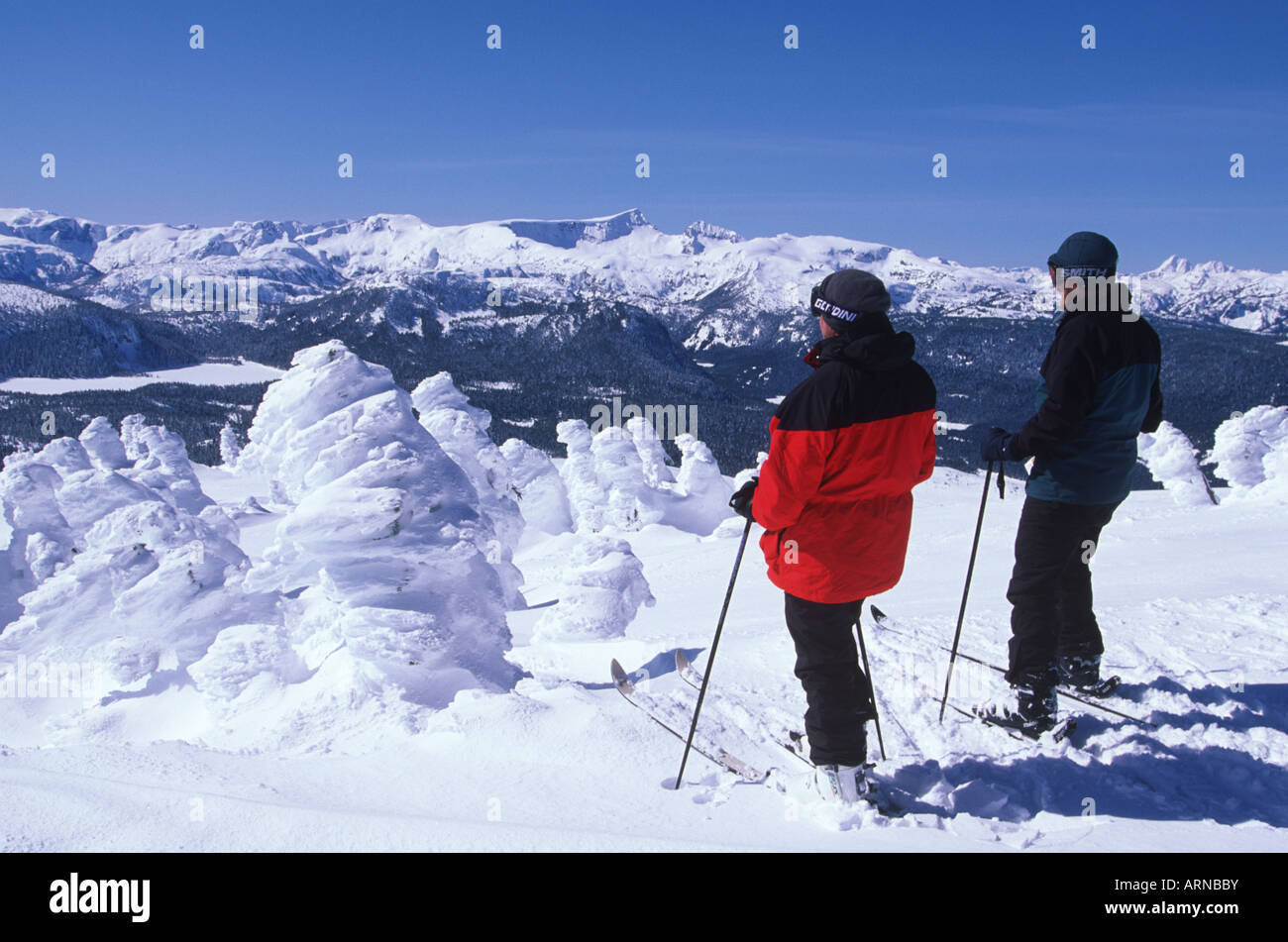 Mount Washington ski resort. Gli sciatori a Mt Albert Edward si affacciano, Isola di Vancouver, British Columbia, Canada. Foto Stock