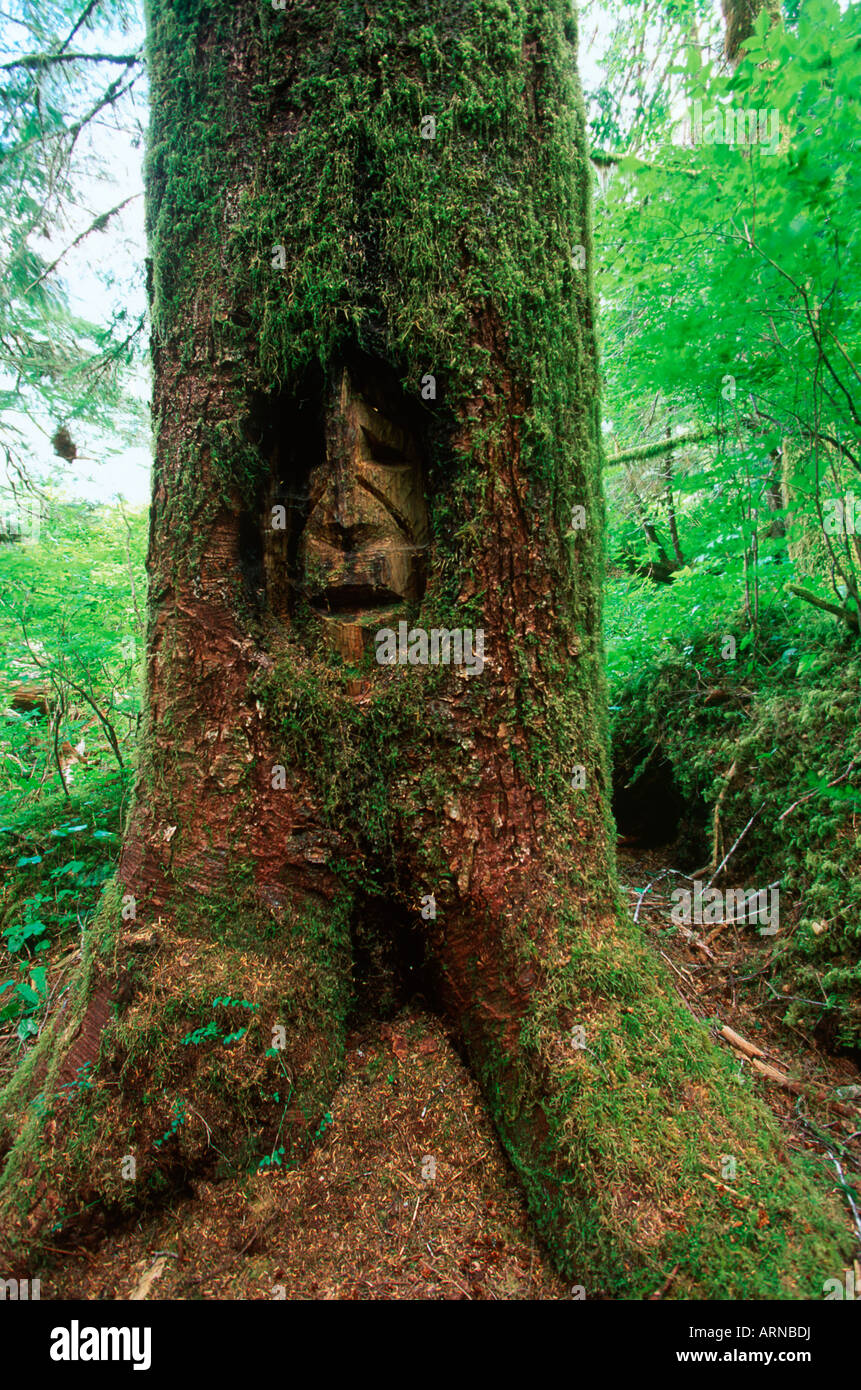 Woss Lago - faccia scolpita nella struttura ad albero di abete rosso in ingresso al percorso di grasso, British Columbia, Canada. Foto Stock