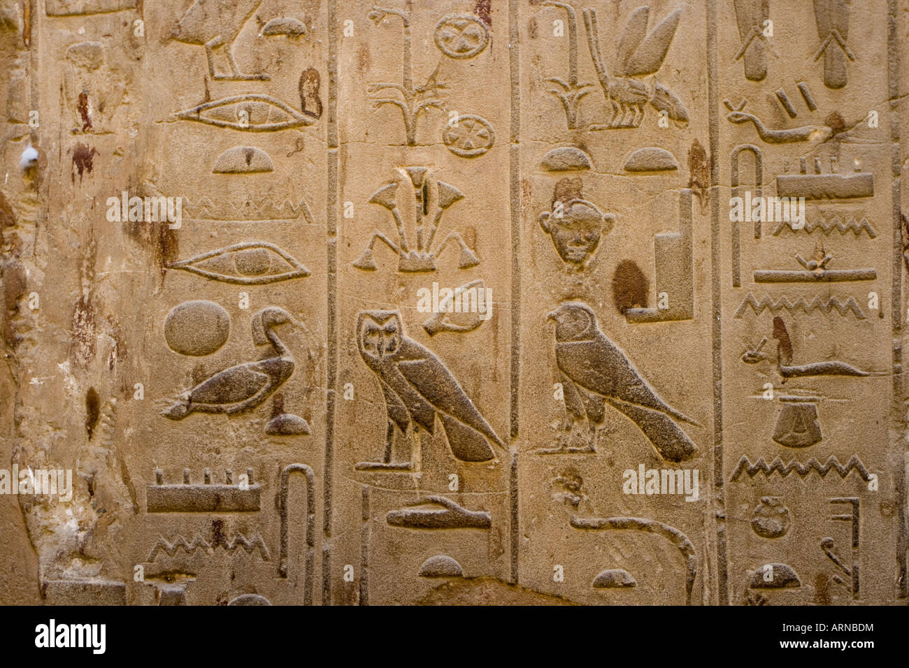 Geroglifici nel Tempio di Luxor Luxor Valle del Nilo in Egitto Foto Stock