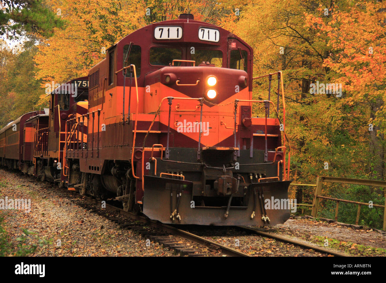 Great Smoky Mountain Railroad, Nantahala Gorge, North Carolina, STATI UNITI D'AMERICA Foto Stock