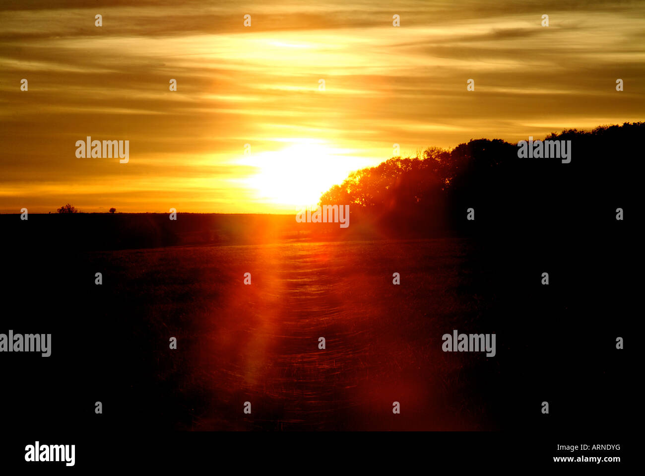 Un rosso infuocato tramonto sopra la contea inglese lato in autunno Foto Stock