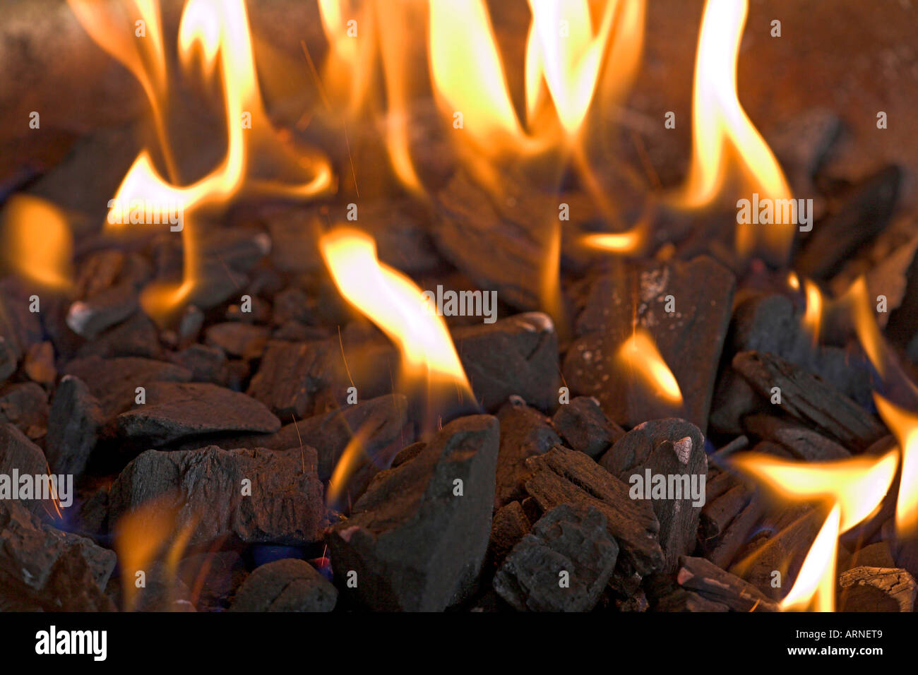 Barbecue e la combustione di carbonella Foto Stock