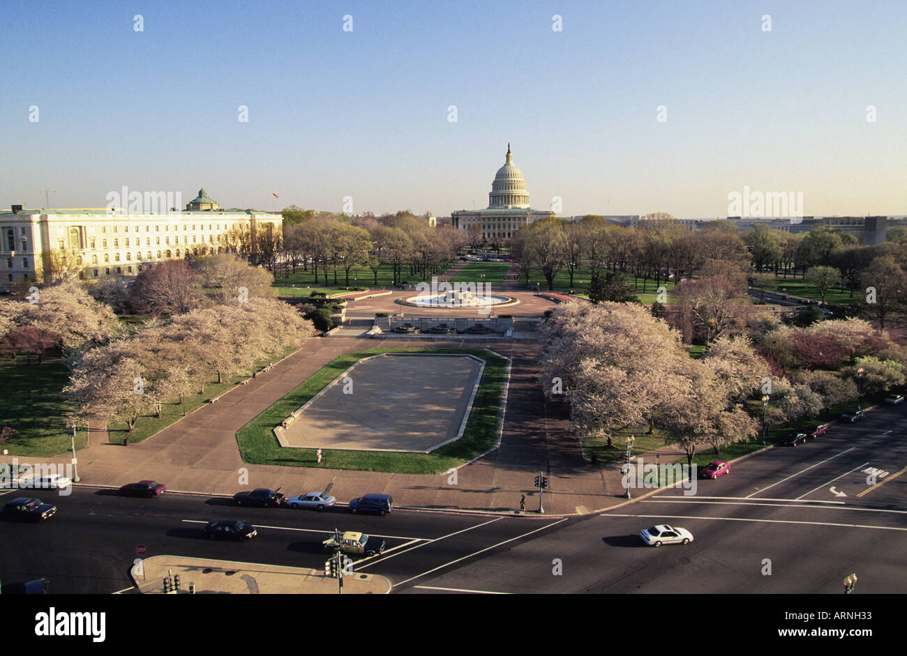 Stati Uniti d'America Stati Uniti Campidoglio di Washington DC molla Panorama Fiori Ciliegio Foto Stock