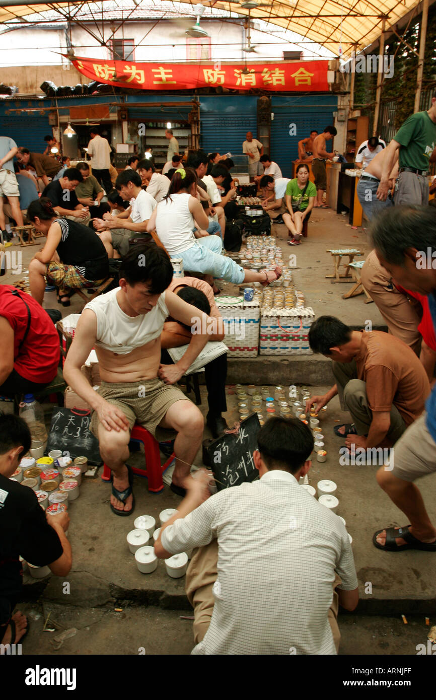 Combattimenti grilli vengano venduti al pesce, bird e mercato di insetto a Shanghai in Cina Foto Stock