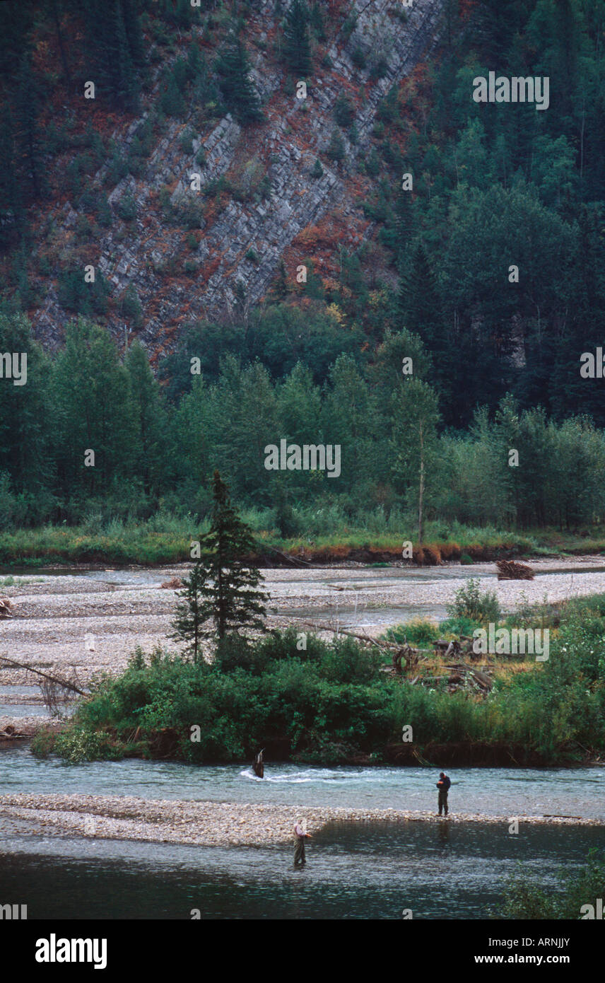 BC Rockies vicino al Fernie, Elk River pesca, British Columbia, Canada. Foto Stock