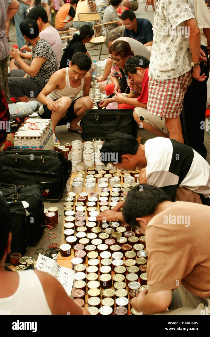 Combattimenti grilli vengano venduti al pesce, bird e mercato di insetto a Shanghai in Cina Foto Stock