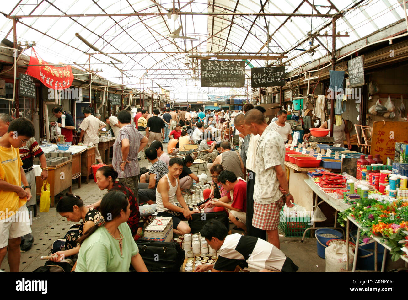 Combattimenti grilli vengano venduti al pesce, bird e mercato di insetto a Shanghai in Cina Foto Stock