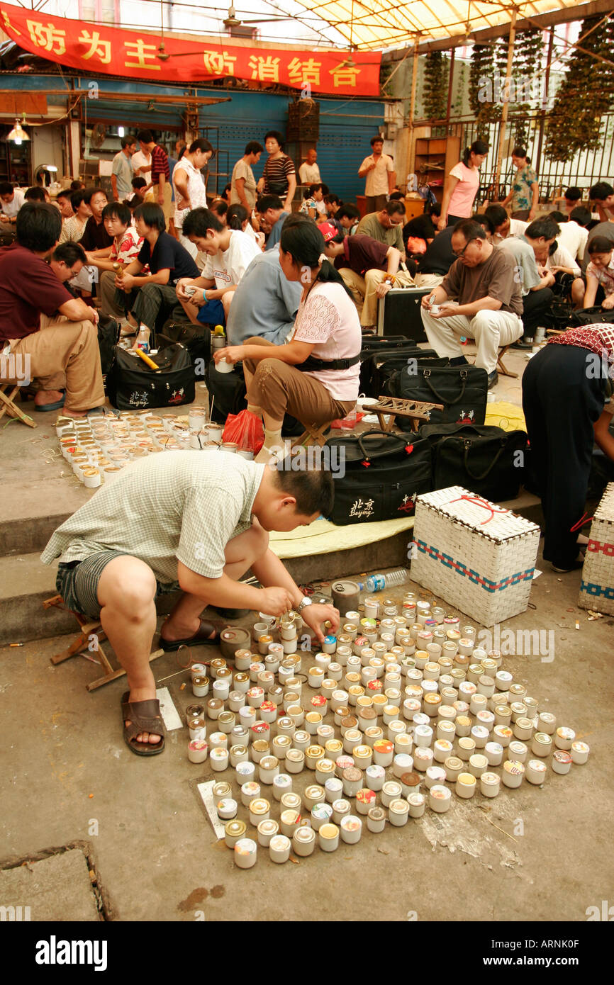Combattimenti grilli vengano venduti al pesce, bird e mercato di insetto a Shanghai in Cina Foto Stock