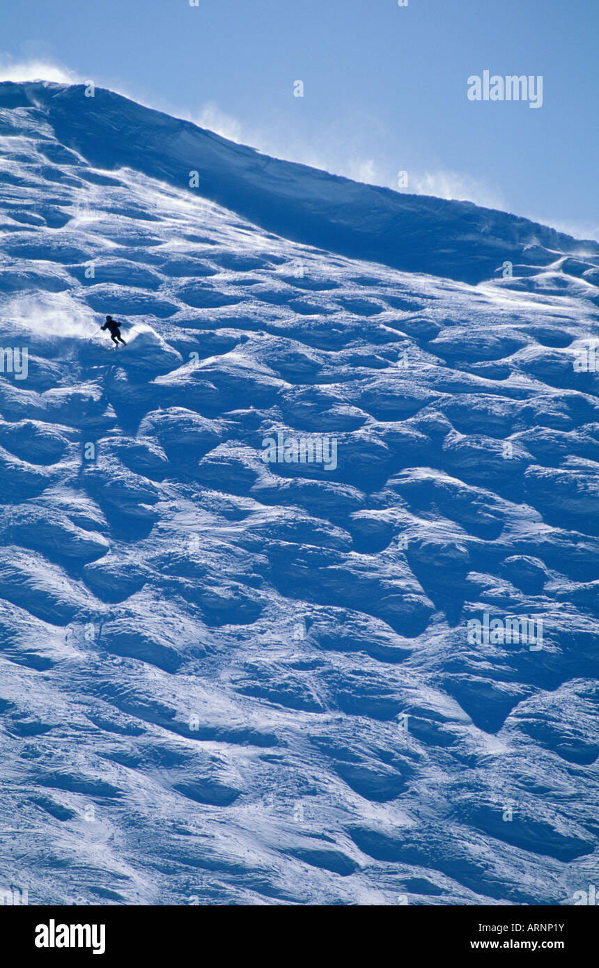 Sciatore scende in Whistler ciotola di gobbe, Whistler, British Columbia, Canada. Foto Stock