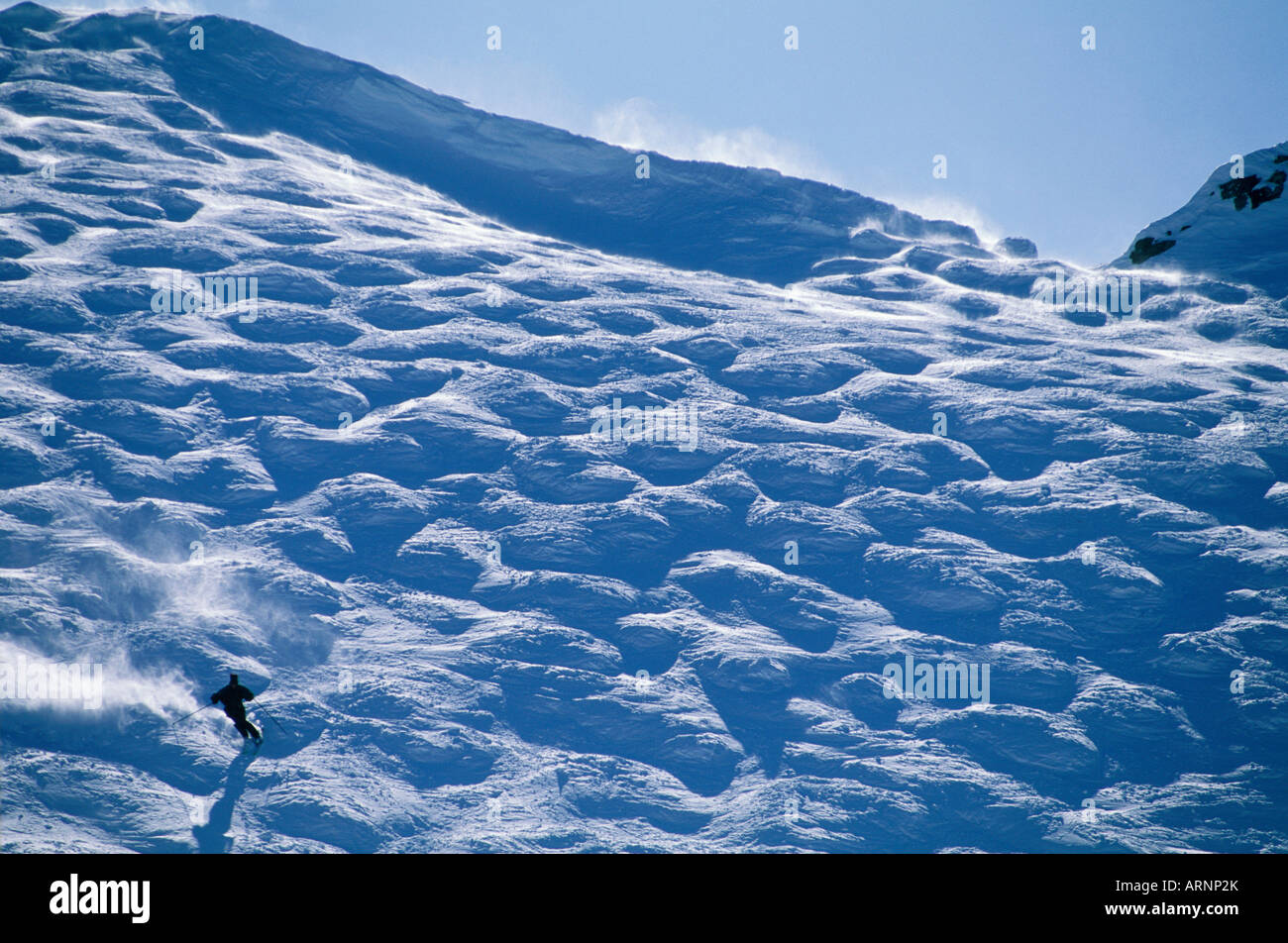 Sciatore scende in Whistler ciotola di gobbe, Whistler, British Columbia, Canada. Foto Stock