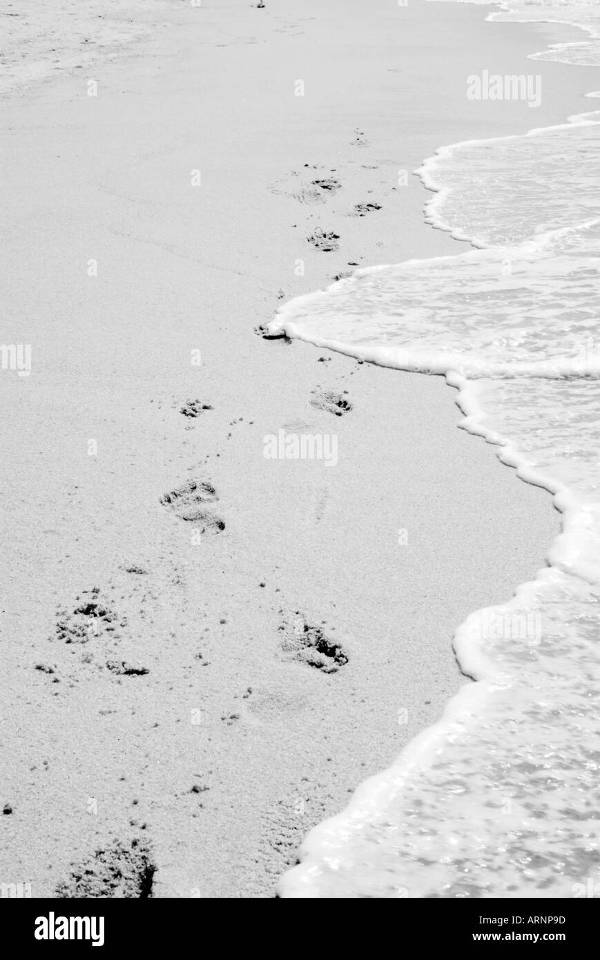 Penang, spiaggia, Malaysia, malese, Asia Asian, wave, acqua, sport acquatici, barca, parasailing, sollevare, turismo,turistici, viaggi, Holi Foto Stock
