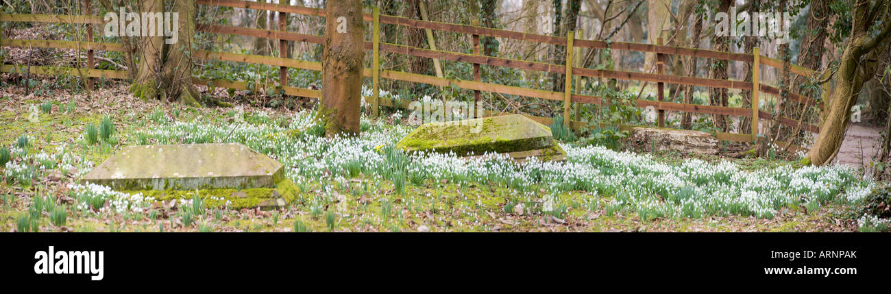 St leonards chiesa beoley worcestershire con bucaneve in fiore invernale Foto Stock