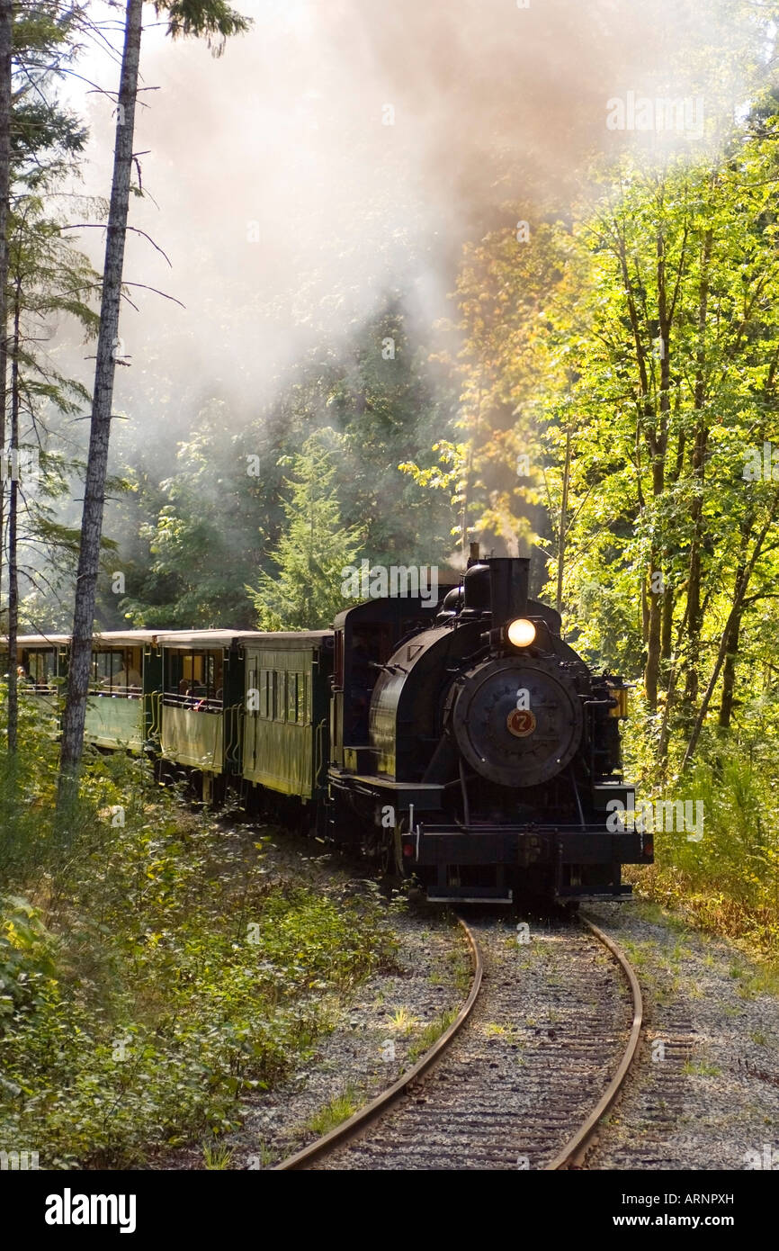 Alberni Pacific Railway locomotiva a vapore, che corre a McLean Mill, Port Alberni, Isola di Vancouver, British Columbia, Canada. Foto Stock